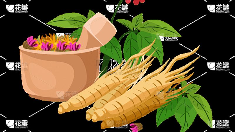 中医养生馆口碑好的品牌