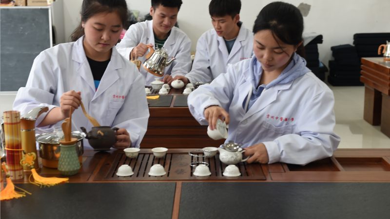 艾灸：古老养生术的现代解读与品牌选择